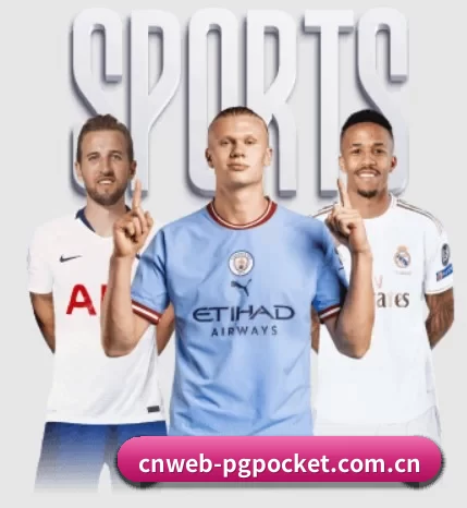 cnweb-pgpocket.com.cn APP